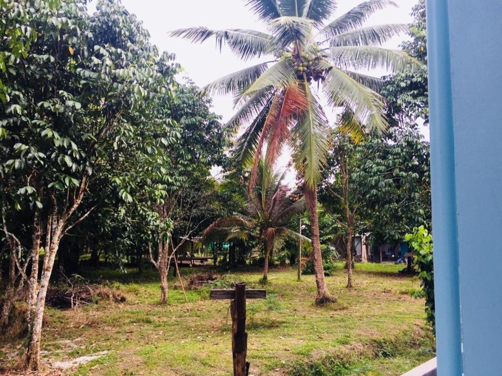 Baan Kalaya Garden Apartman Banmaj Kültér fotó